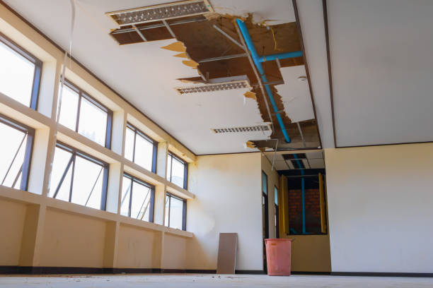 Best Flood restoration services  in Zwolle, LA