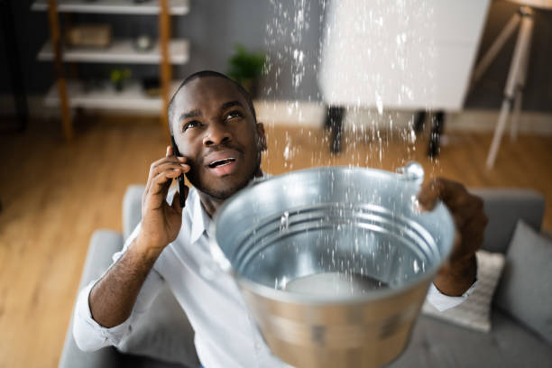 Best 24-hour water damage restoration  in Zwolle, LA