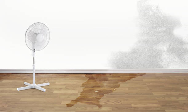 Best 24/7 water damage repair  in Zwolle, LA