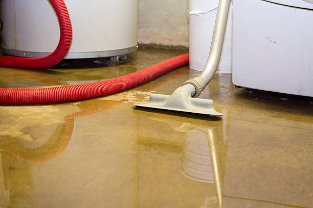 Best Water damage restoration specialists  in Zwolle, LA