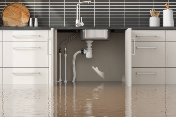 Best Flood damage cleanup  in Zwolle, LA