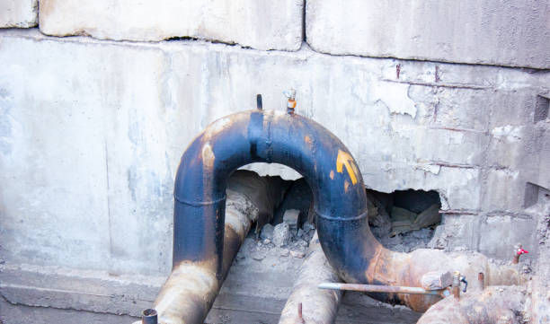 Best Professional water damage repair  in Zwolle, LA
